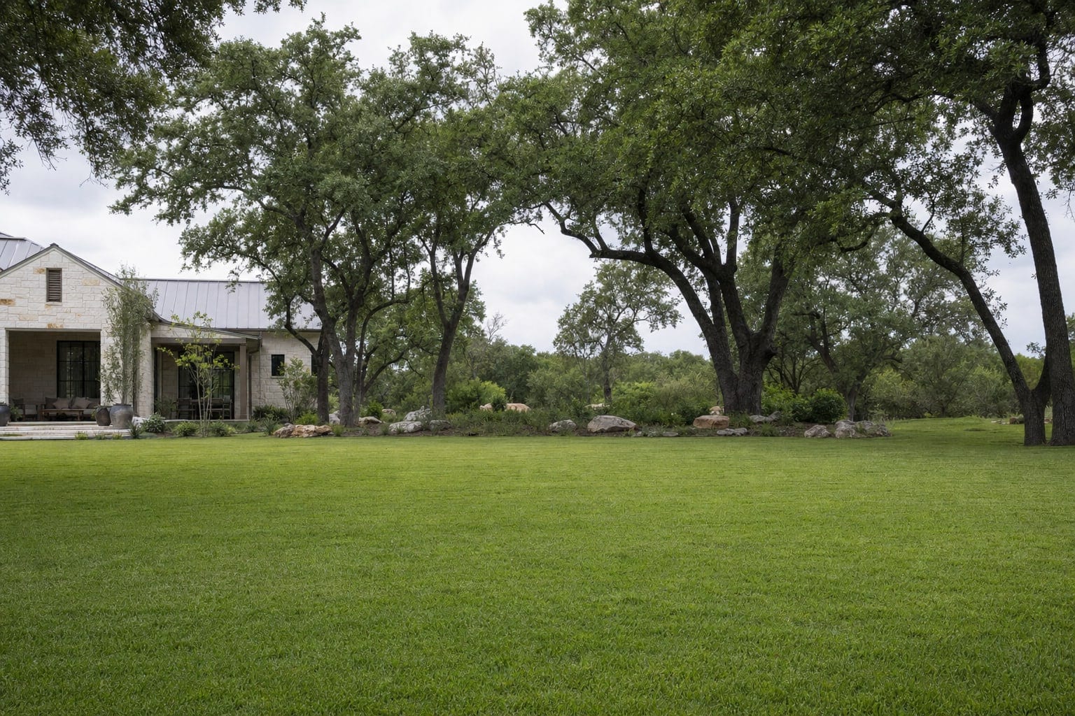 A Texas back yard with live oaks along the fence line